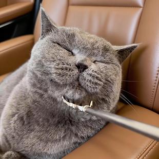 宠物猫咪挠痒神器狗狗抓痒挠猫耙子逗猫棒伸缩痒痒挠互动解闷玩具