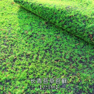 仿真绿苔盆景种植青苔藓铺面四季常青绿植室内假草坪假山材料吸水