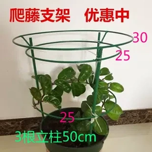 蟹爪兰花架爬藤支架金钱树令箭荷花支撑杆叶仙绿萝专用支撑单杆