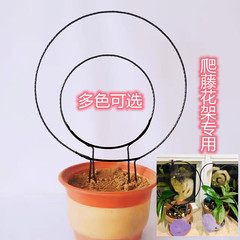 山乌龟爬藤架龟甲龙花架金不换花架植物花卉爱心圆形造型金属支架