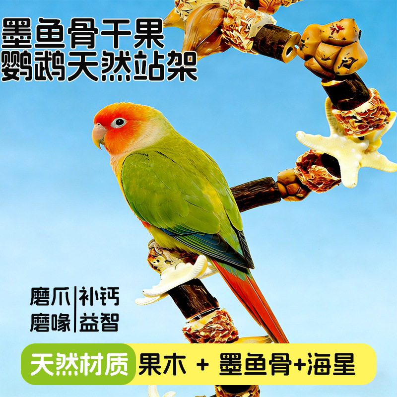 鹦鹉墨鱼骨站杆鸟用海星坚果啃咬棒苹果木块啃咬串攀爬梯宠物用品