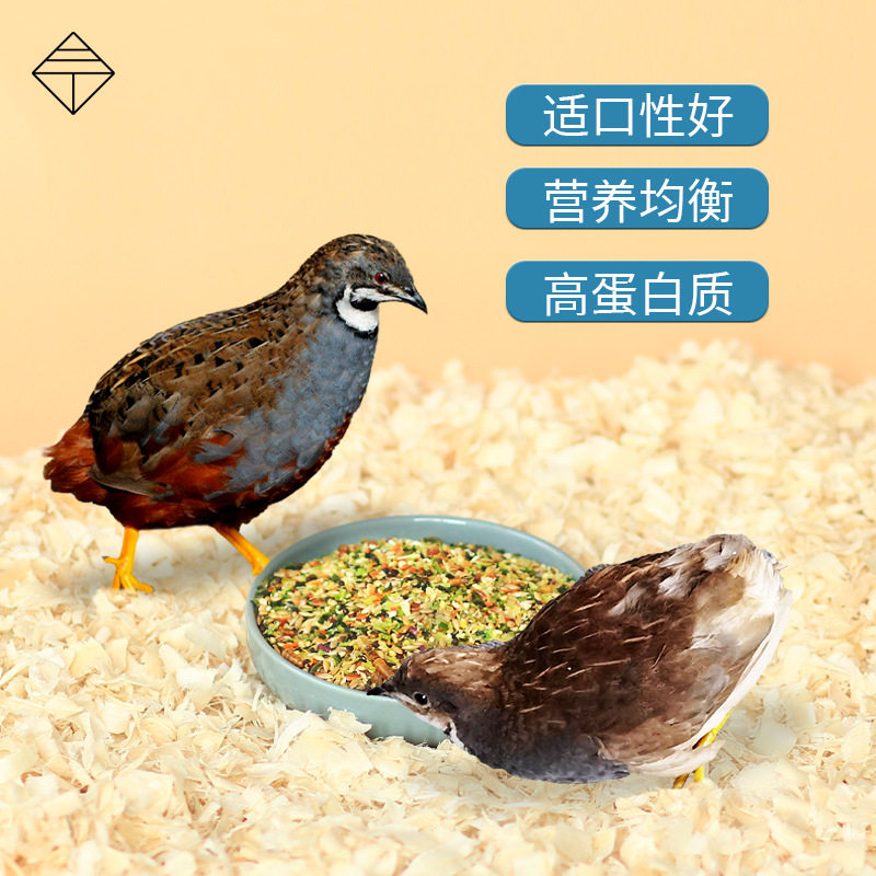 芦丁鸡产蛋粮全期育雏通用鹌鹑主粮面包虫营养蔬菜繁育饲料鸟谷物