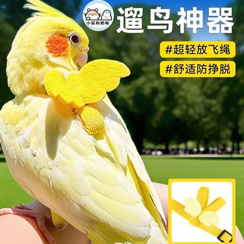 鸟用鹦鹉放飞绳玄凤虎皮牡丹牵引绳飞行外出背带遛鸟神器鹦鹉用品