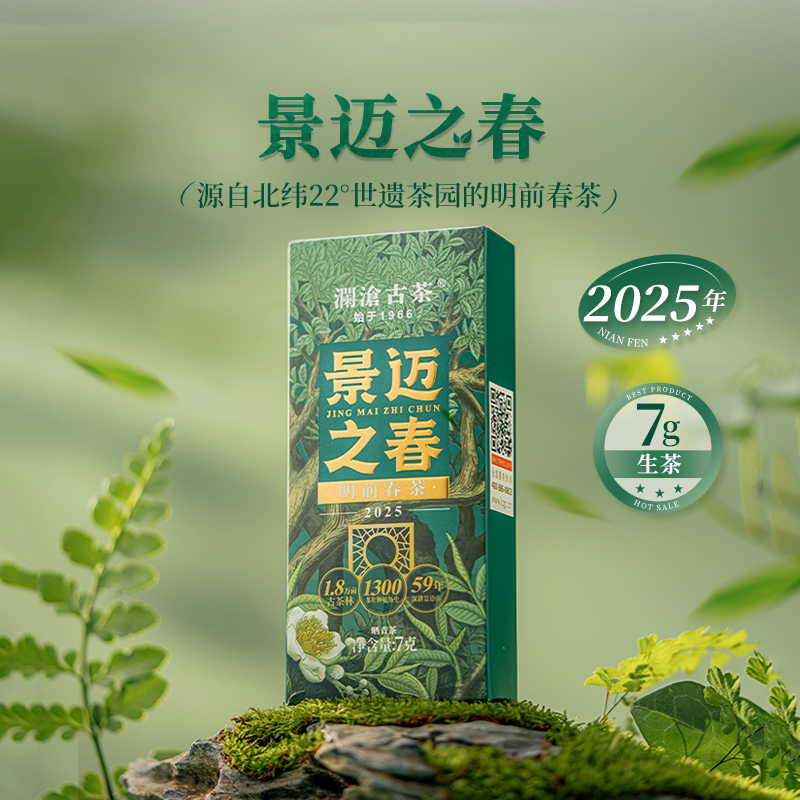 澜沧古茶景迈之春散茶普洱茶