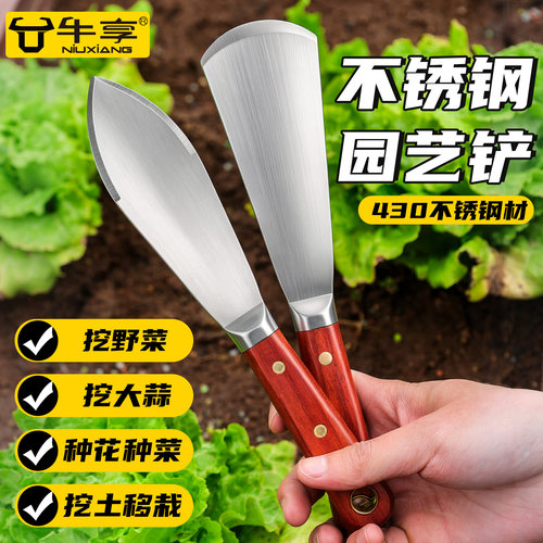 不锈钢加厚园艺铲子挖野菜小铁锹
