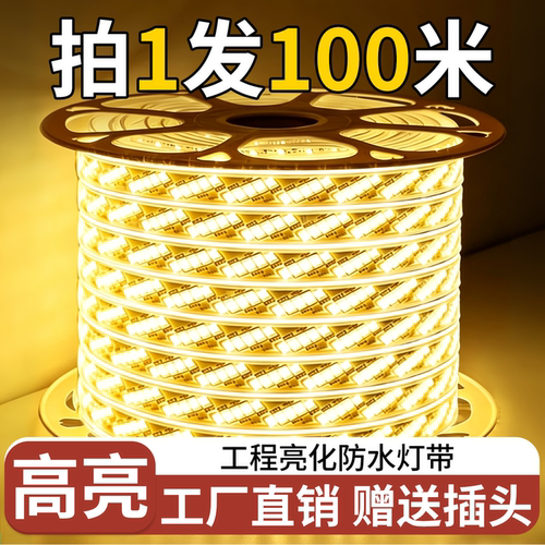 户外防水220V超亮LED灯带100米