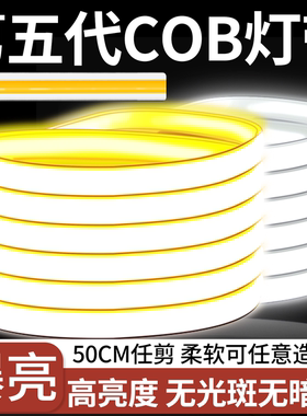 COB灯带led灯条220v家用客厅超亮户外防水照明室外庭院自粘线形灯