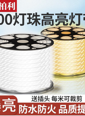 600灯珠爆亮320灯带LED灯条户外工程超亮防水家用客厅室外220V