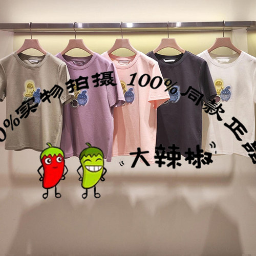 BDS2YD2505商场同款休闲百搭上衣打底衫短袖修身绣花T恤梦回故里