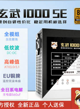驿晨宇玄武1000SE电脑电源全模组额定1000W台式机静音ATX主机电源