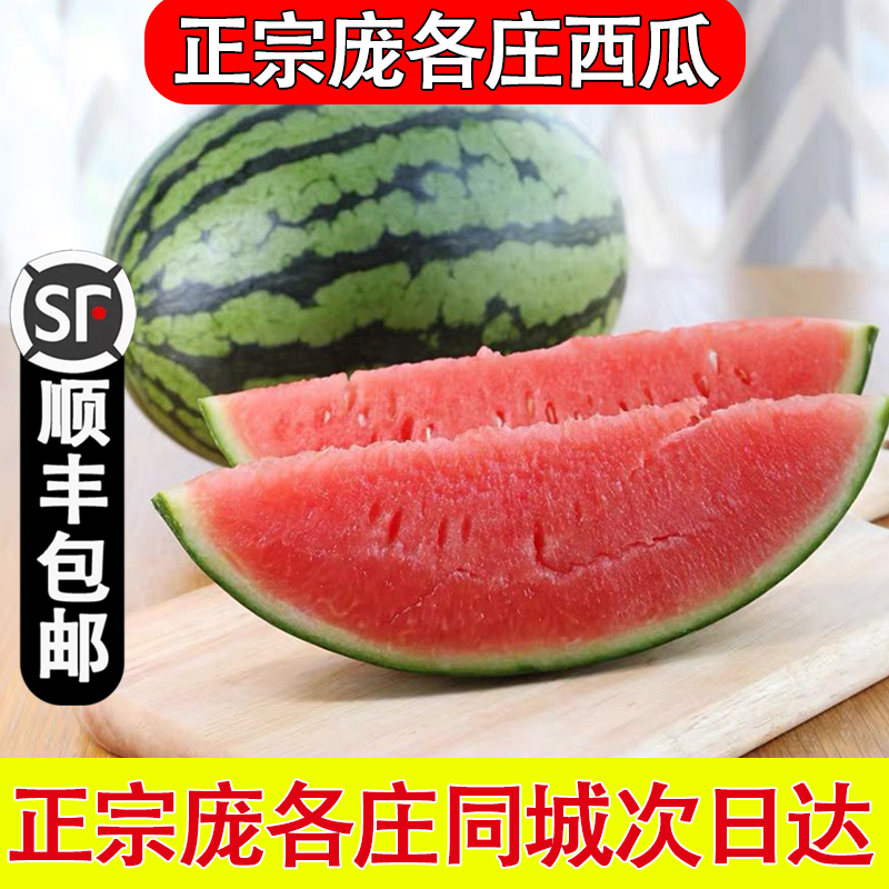 北京庞各庄头茬西瓜L600小吊瓜新鲜水果当季袖珍西瓜顺丰次日达