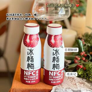 成央记冰杨梅汁冰镇果味饮料果汁酸梅汤果汁健康2瓶 12瓶