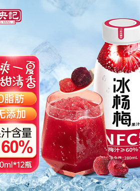 【280ml*12瓶】成央记冰杨梅汁果味果汁酸梅汤解腻果蔬汁饮料