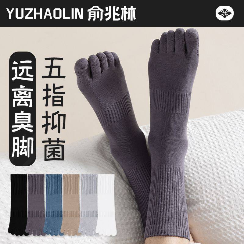五指袜子男士中长筒袜春