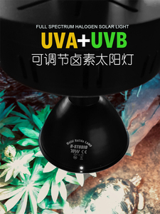 日本龟蜥蜴专业高度仿日光箱用爬虫金卤灯爬宠陆全光谱uva uvb高