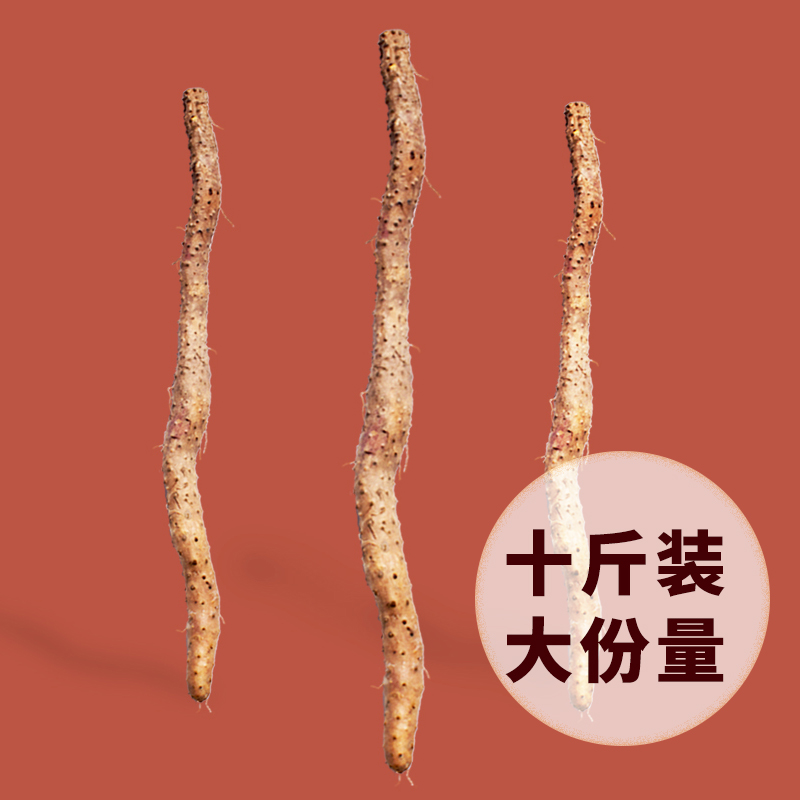 焦作铁棍山药,怀山十斤装
