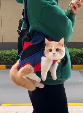 猫包便携外出轻便款双肩背包猫咪斜挎胸前宠物外出包小狗携带神器