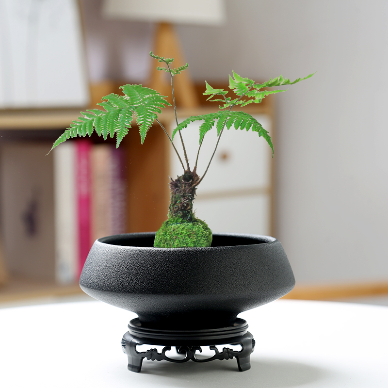 苔藓球托盘花盆陶瓷盆中式亚光桌面摆件水培米竹菖蒲干果盆托无孔