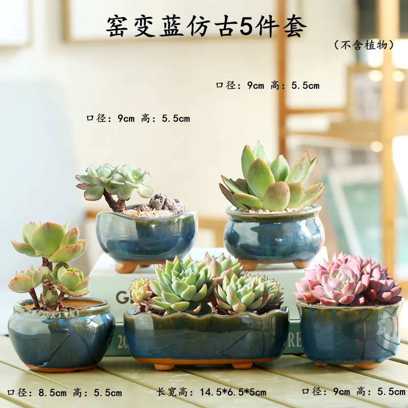 多肉花盆陶瓷多肉植物粗陶复古要变创意大小口径简约特价清仓家用