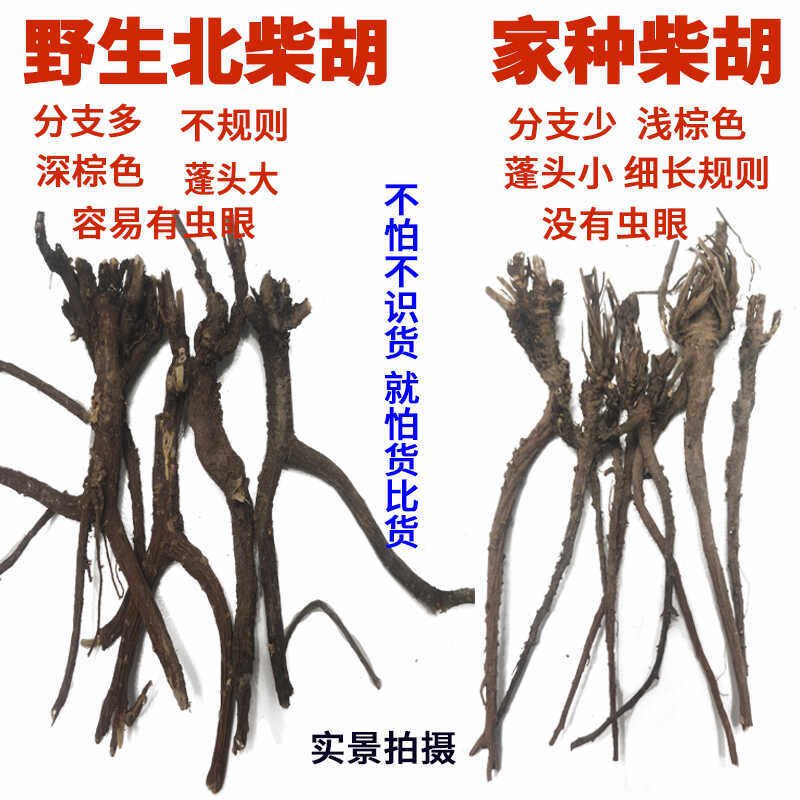 北京同仁堂品质【正宗野生北柴胡】太行新货黑柴胡根黑皮柴胡散装