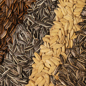 瓜子炒货4斤原味五香焦糖红枣奶油山核桃味葵花籽非恰恰小包装 5斤