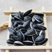 2025新内蒙古生货美人心黑元 新鲜无干燥剂休闲零食 宝小瓜子散装