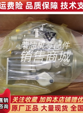 2644N406/22英国帕金斯高压油泵林德352叉车1104C发动机原装