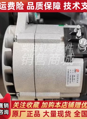 上柴W11B-000-02+01发电机上柴SDEC SC33W发电机W11B-000-02+02