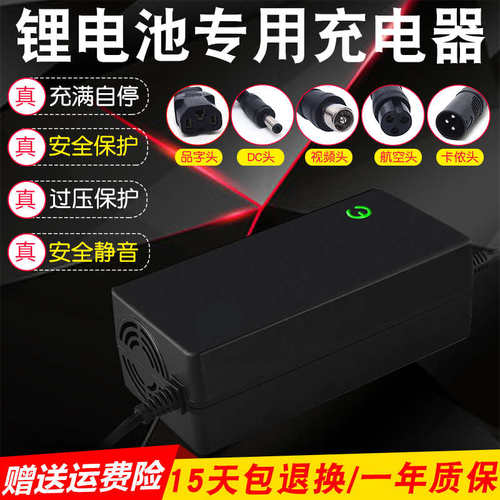 电动车哈雷滑板充电器骏m车独轮车6v42v2a锂电池.诺24v36v48v60v5
