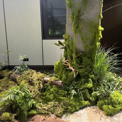 松雨丛林苔藓假青苔仿生造景花盆