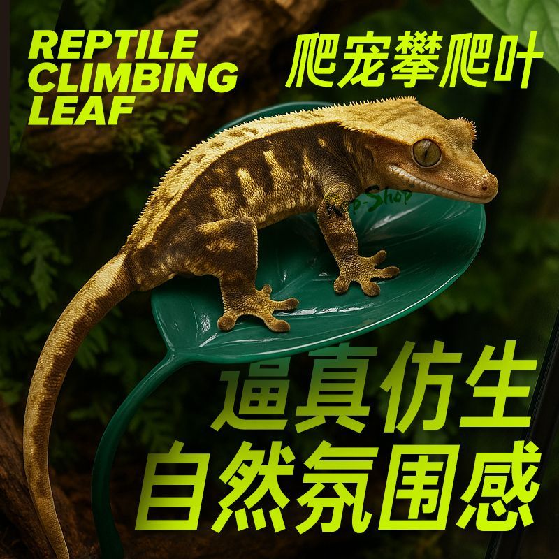 树蛙攀爬架睫角攀爬叶树栖爬宠悬浮窝R属守宫雨林缸仿真造景姥爷