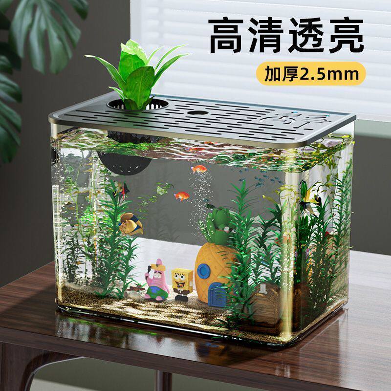 桌上生态小鱼缸鱼缸高清透明桌面生态造景水培制氧新款懒人塑料家