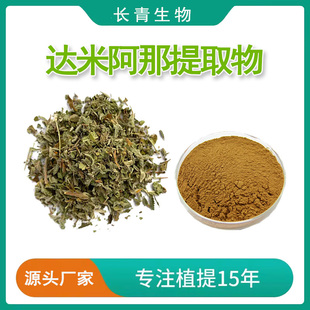 Leaf Extract 達米阿那葉濃縮提取粉末Damiana 達米阿那提取物