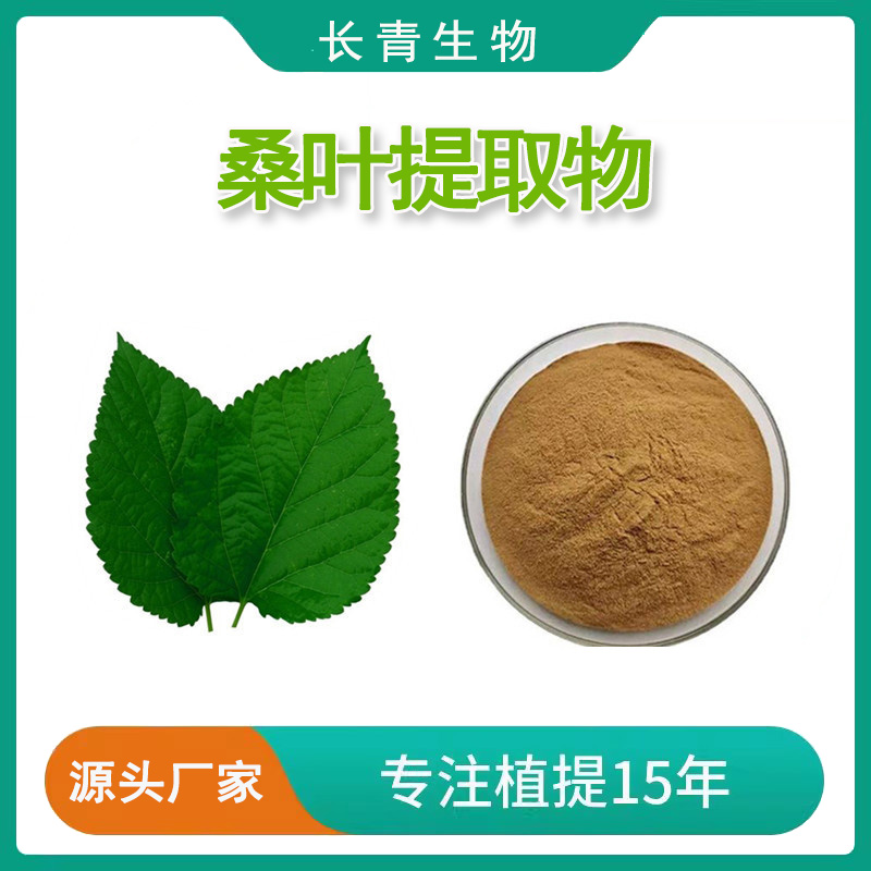 桑叶提取物霜桑叶提取物粉末 mulberry leaf extract植物原料