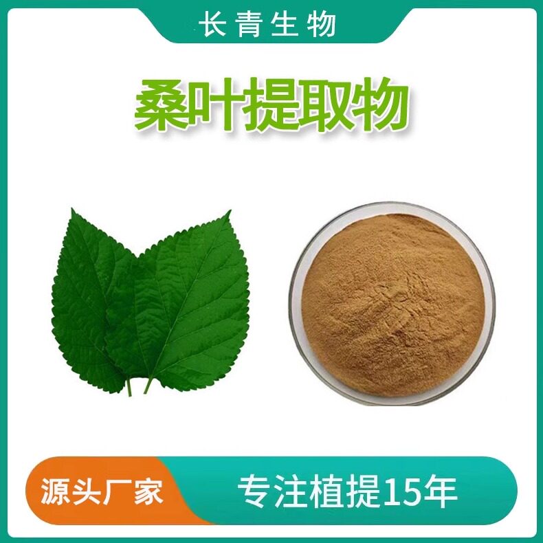 桑叶提取物 霜桑叶提取物粉末 mulberry leaf extract植物原料