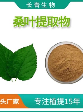 桑叶提取物 霜桑叶提取物粉末 mulberry leaf extract植物原料
