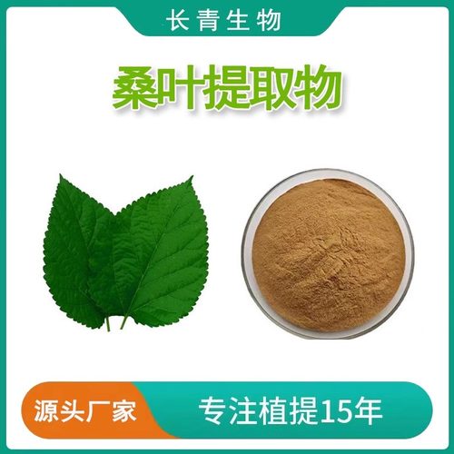 桑叶提取物 霜桑叶提取物粉末 mulberry leaf extract植物原料