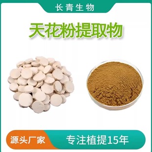 天花粉提取物 20:1 栝楼浓缩粉 植物萃取天花粉 原料粉专业提取