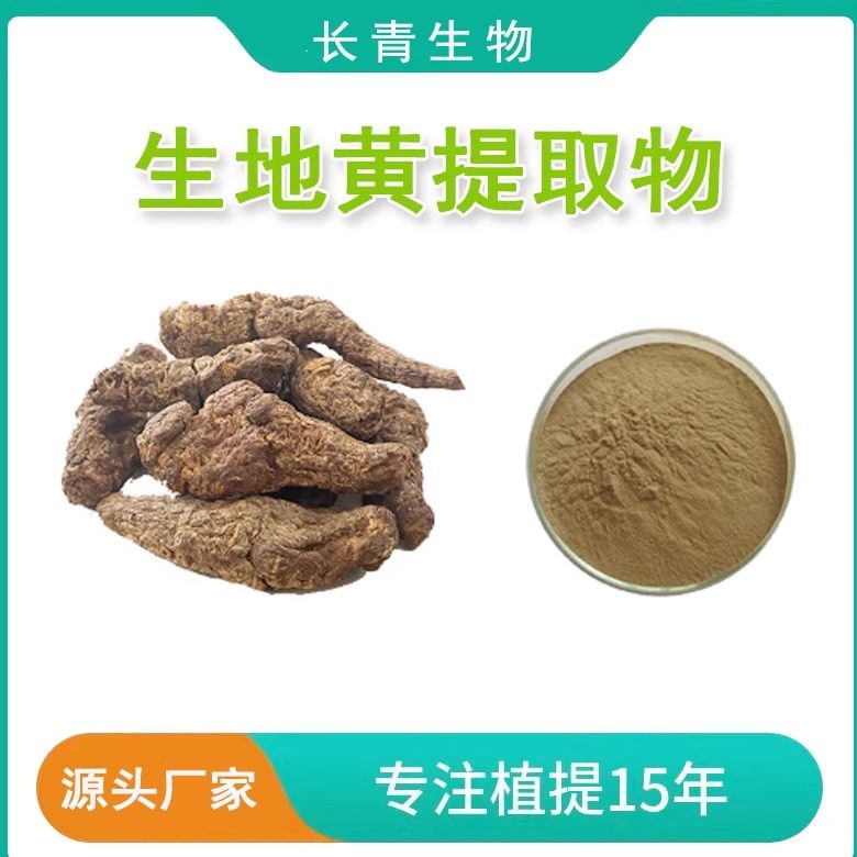生地提取物 天然生地黄提取物浓缩粉末20:1地黄多糖60% 厂家直发