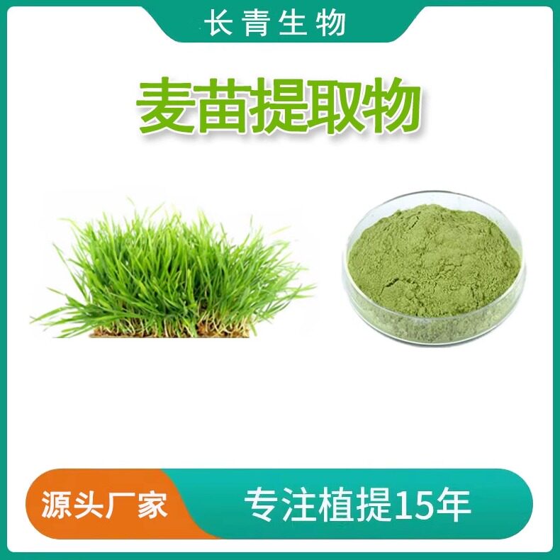 麦苗粉99%大麦苗/小麦苗提取物粉 比例萃取水溶粉 工厂直发送量勺