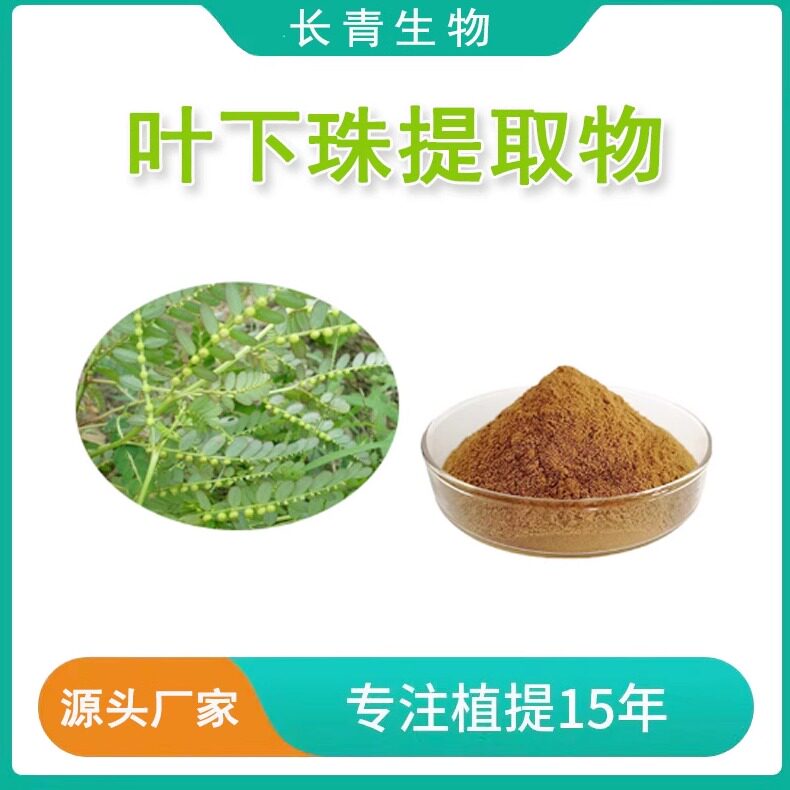 叶下珠提取物 叶下珠粉20:1 珍珠草珠仔草提取浓缩粉末 天然萃取