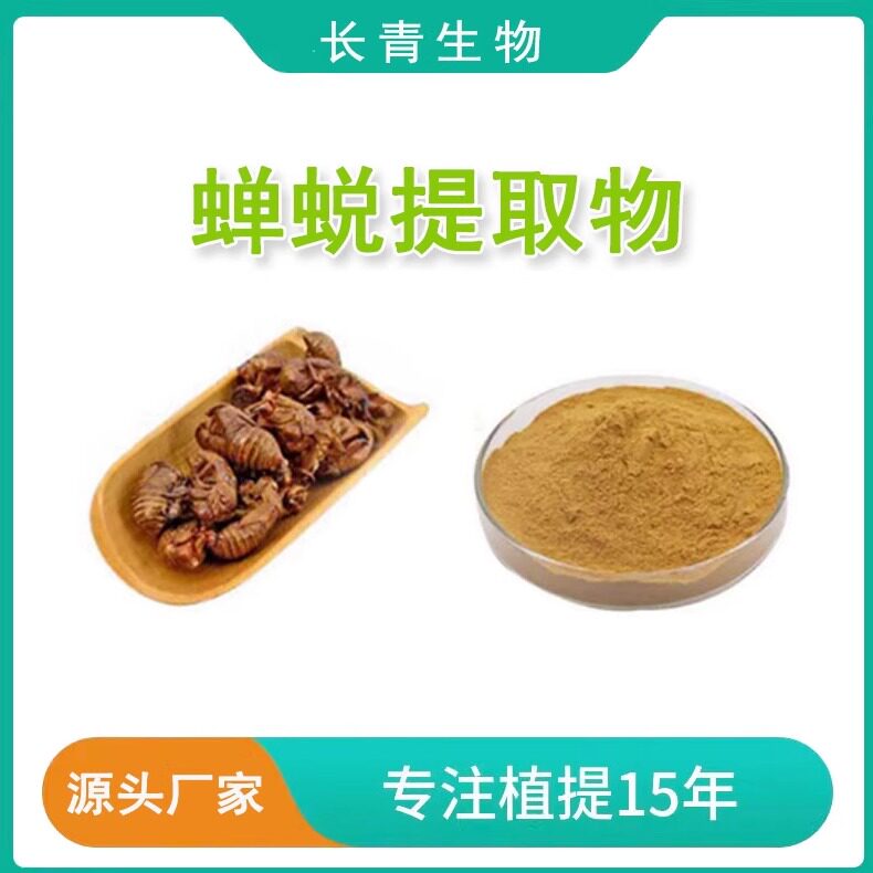 蝉蜕提取物 蝉衣/知了皮知了壳蛋白提取物 原料比例萃取浓缩精华