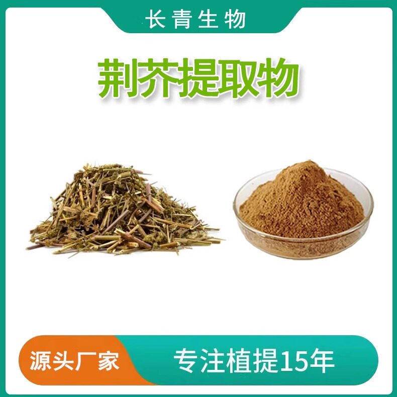 荆芥提取物20:1 荆芥粉荆芥皂甙浓缩粉末 源头工厂天然萃取提取物