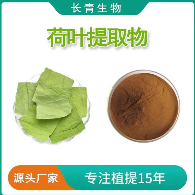 荷叶提取物 荷叶碱2% 荷叶黄酮提取物100克散粉 食品级速发赠勺子
