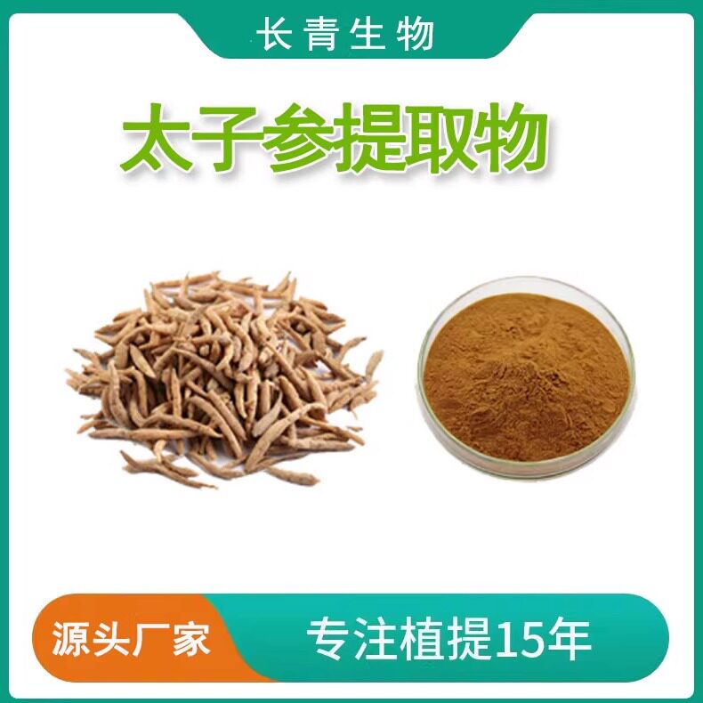 太子参提取物 20:1太子参粉 太子参多糖浓缩粉末 中药材提取物