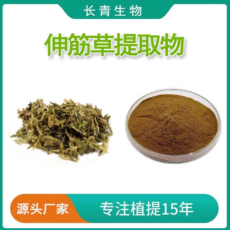 伸筋草提取物20:1 石松提取物粉末石松碱7% 天然植物原料包邮速发