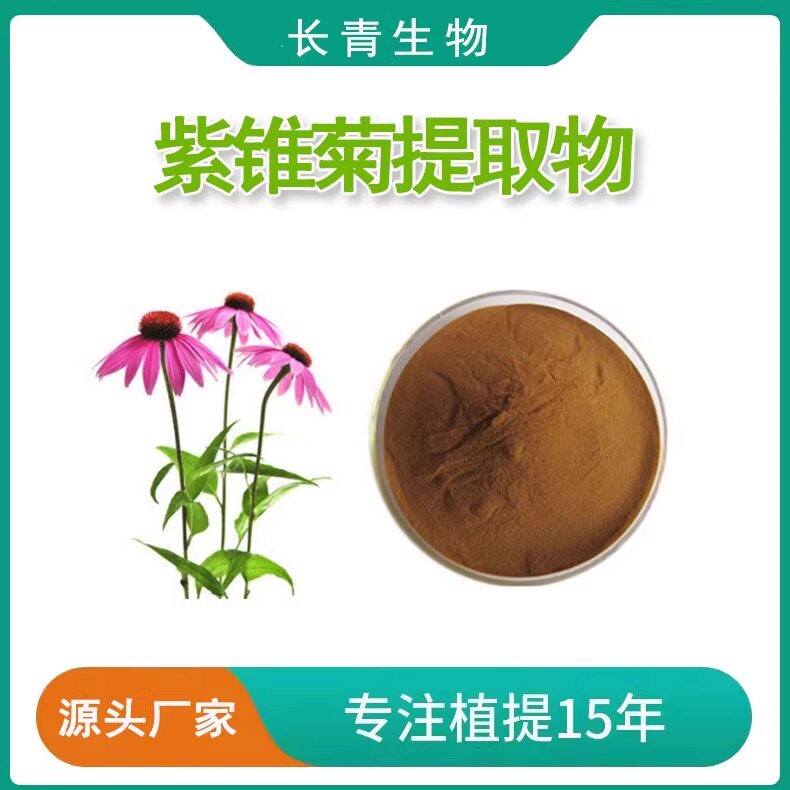 紫锥菊多酚8%4%紫锥菊提取物