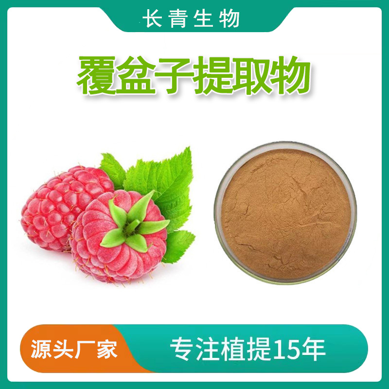 覆盆子提取物20:1天然植物提取物水溶性浓缩粉原料粉末