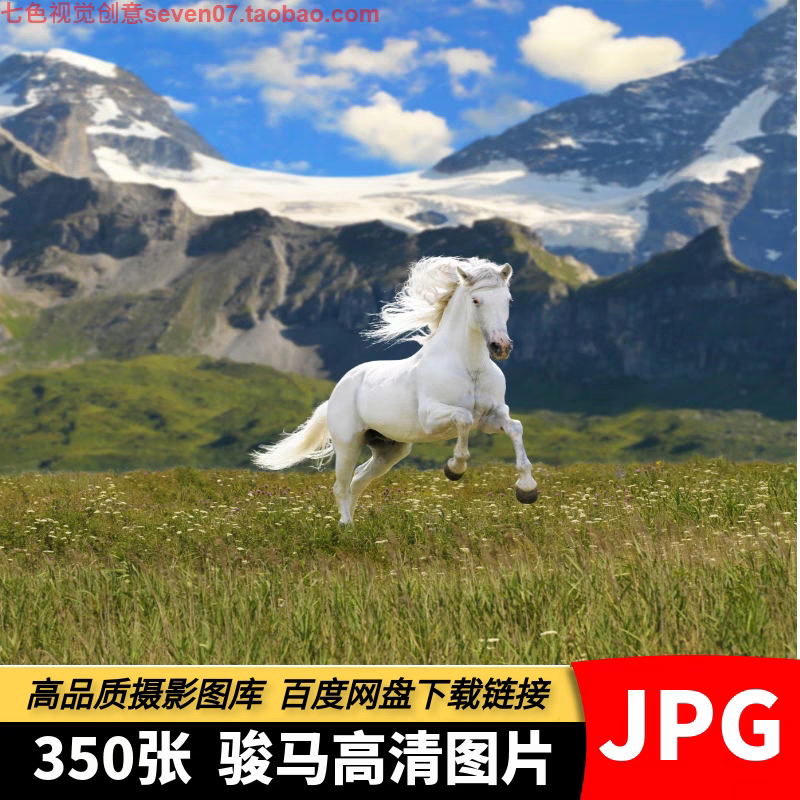 高清JPG图片骏马白马黑马策马奔腾马群奔跑动物特写绘画参考素材