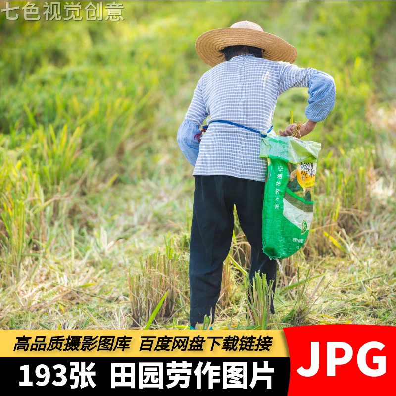 高清4K田园劳作摄影图片乡村农民插秧芒种丰收农忙农业题材类素材